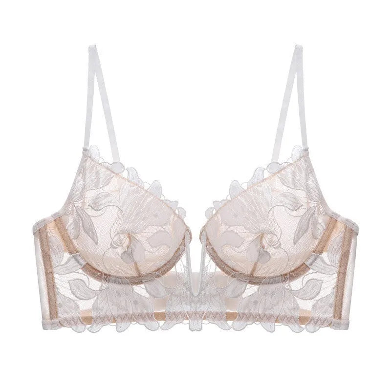 Women Lace Lingerie Set Elegant Sexy Bra Set See Through Underwear Ventilate Ladies Bra and Panty Set