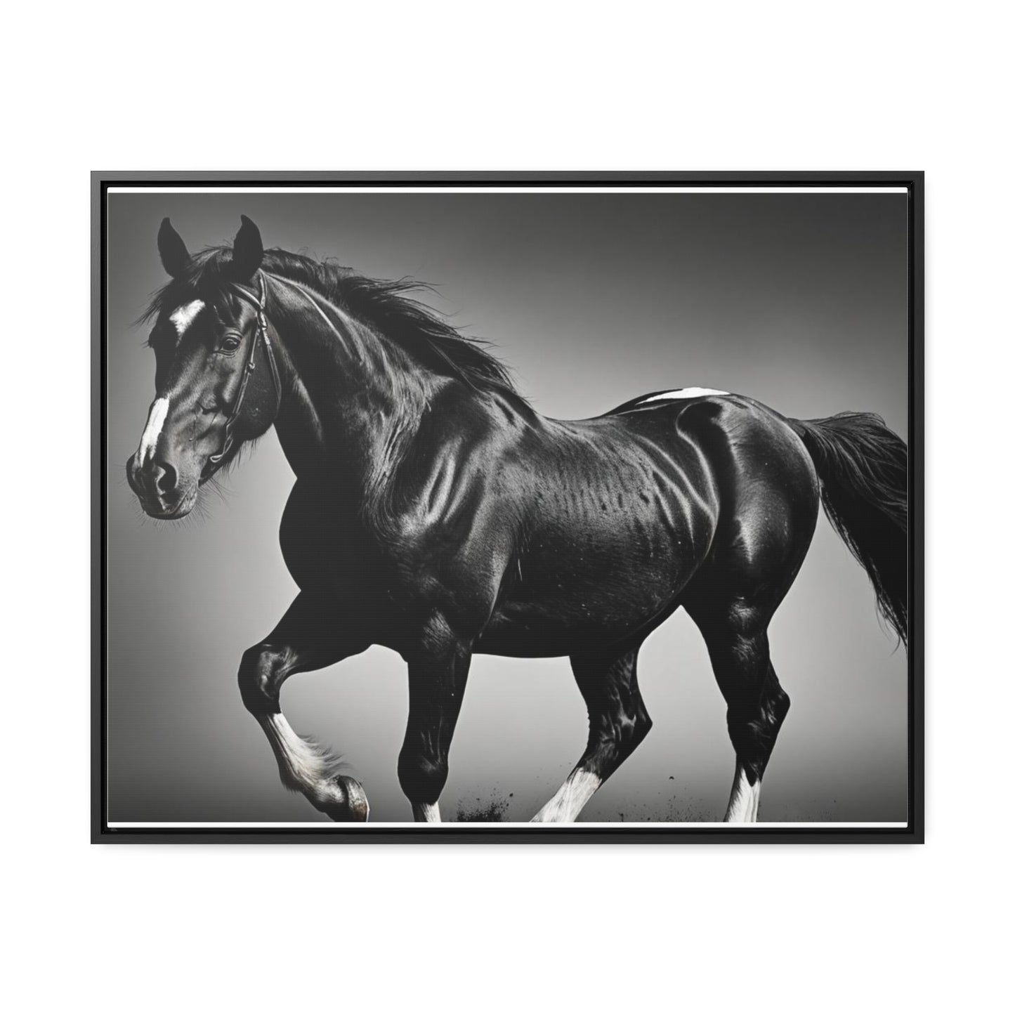 Black Stallion Gallery Canvas Wraps, Horizontal Frame