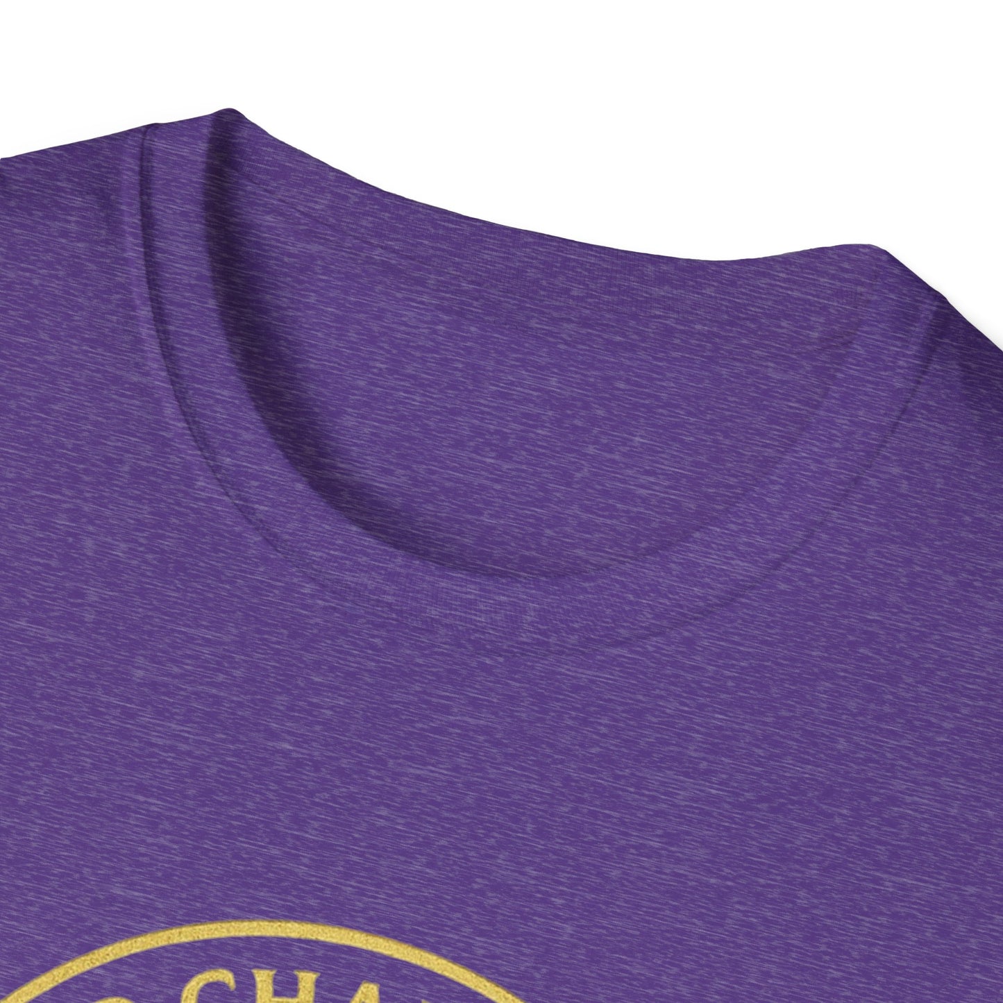 2CS - Unisex Softstyle T-Shirt