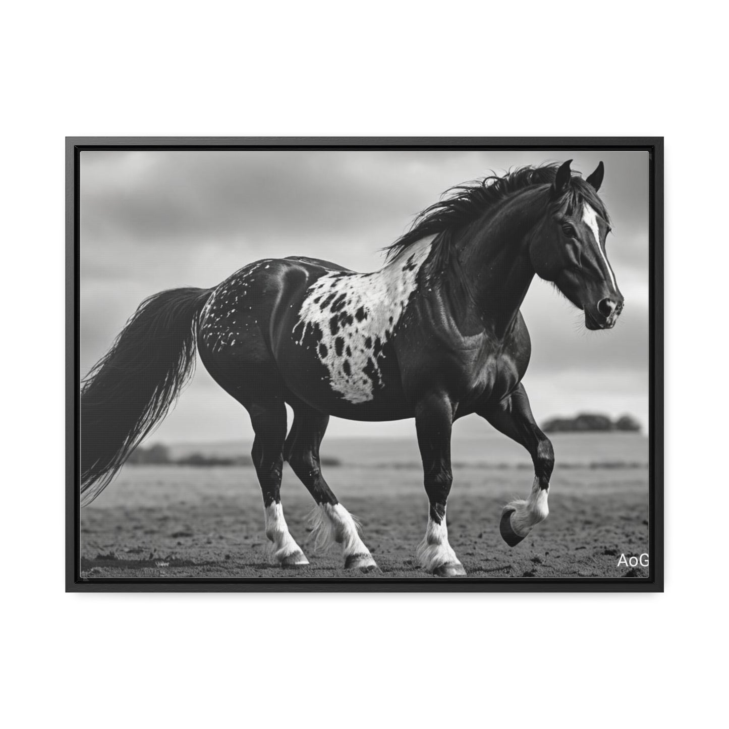 Speckled Stallion Gallery Canvas Wraps, Horizontal Frame