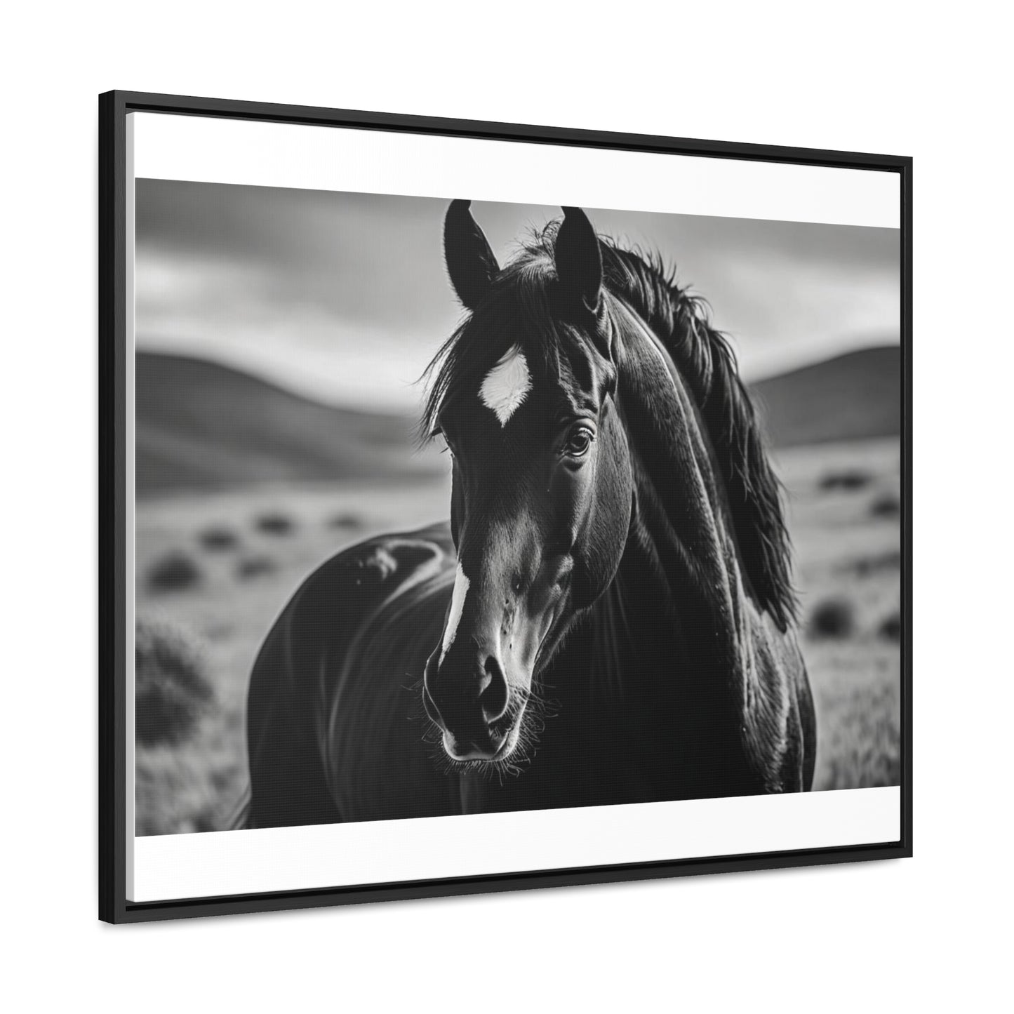 Black Stallion Gallery Canvas Wraps, Horizontal Frame