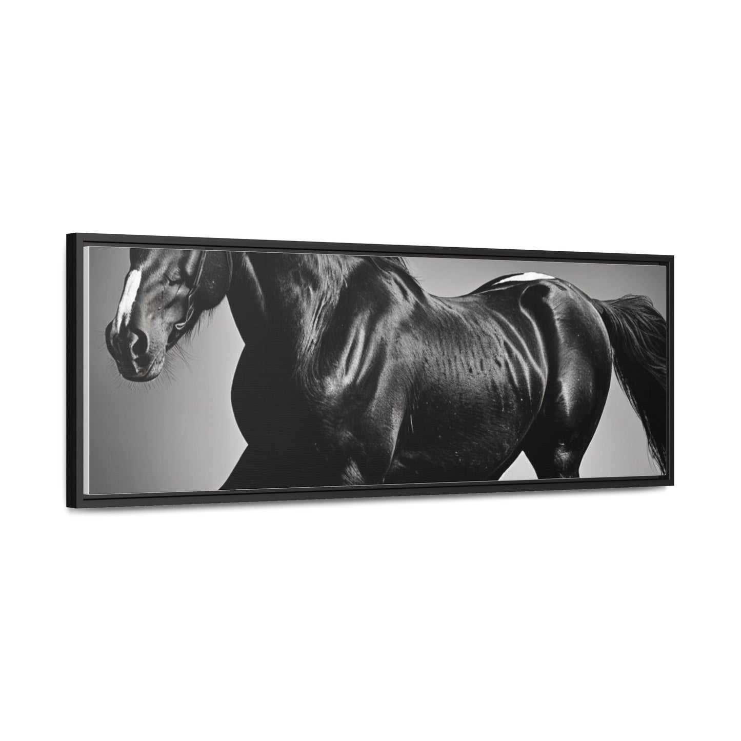 Black Stallion Gallery Canvas Wraps, Horizontal Frame