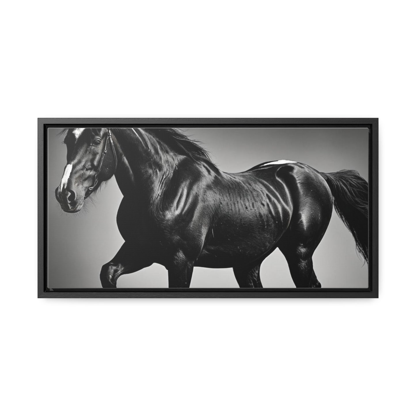 Black Stallion Gallery Canvas Wraps, Horizontal Frame