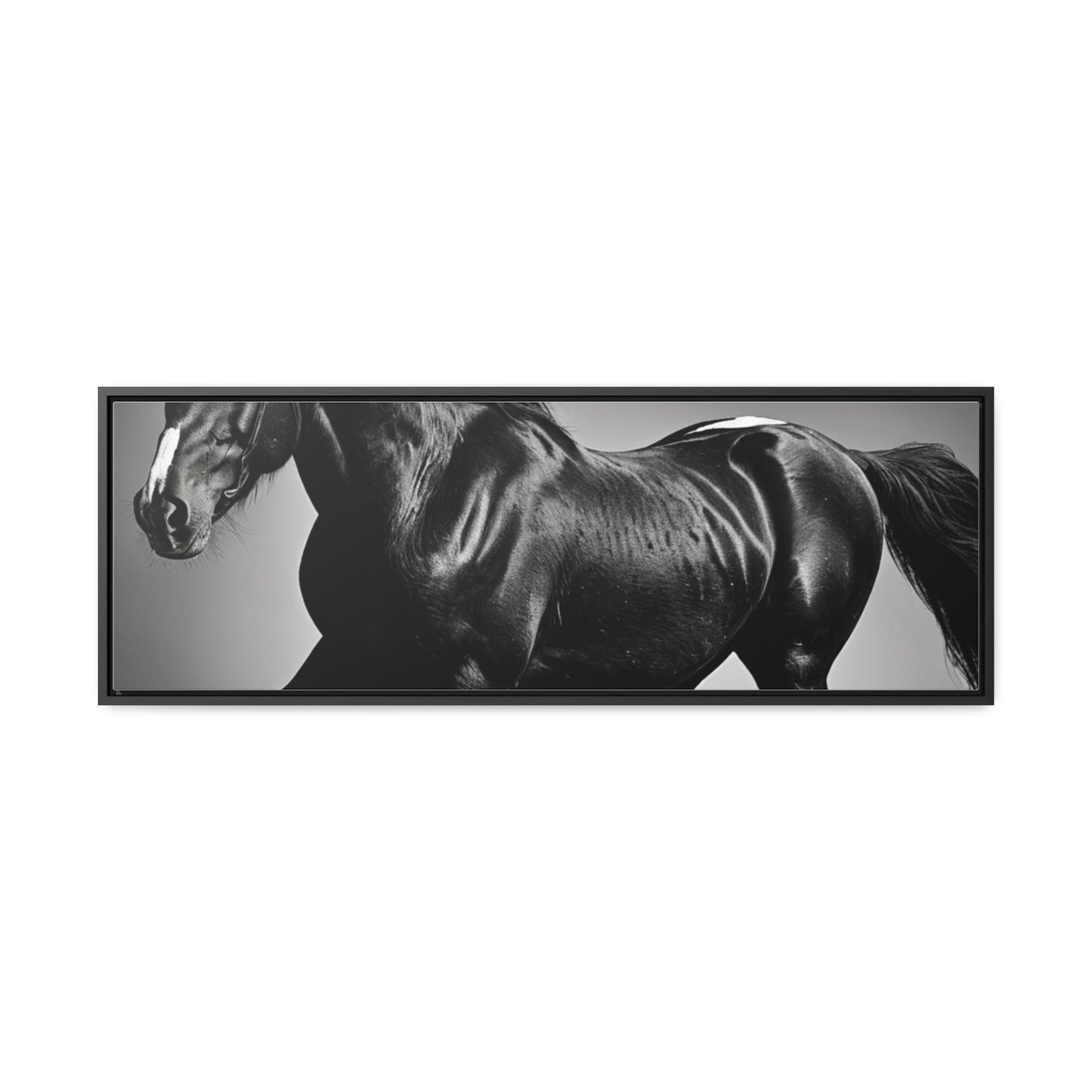 Black Stallion Gallery Canvas Wraps, Horizontal Frame