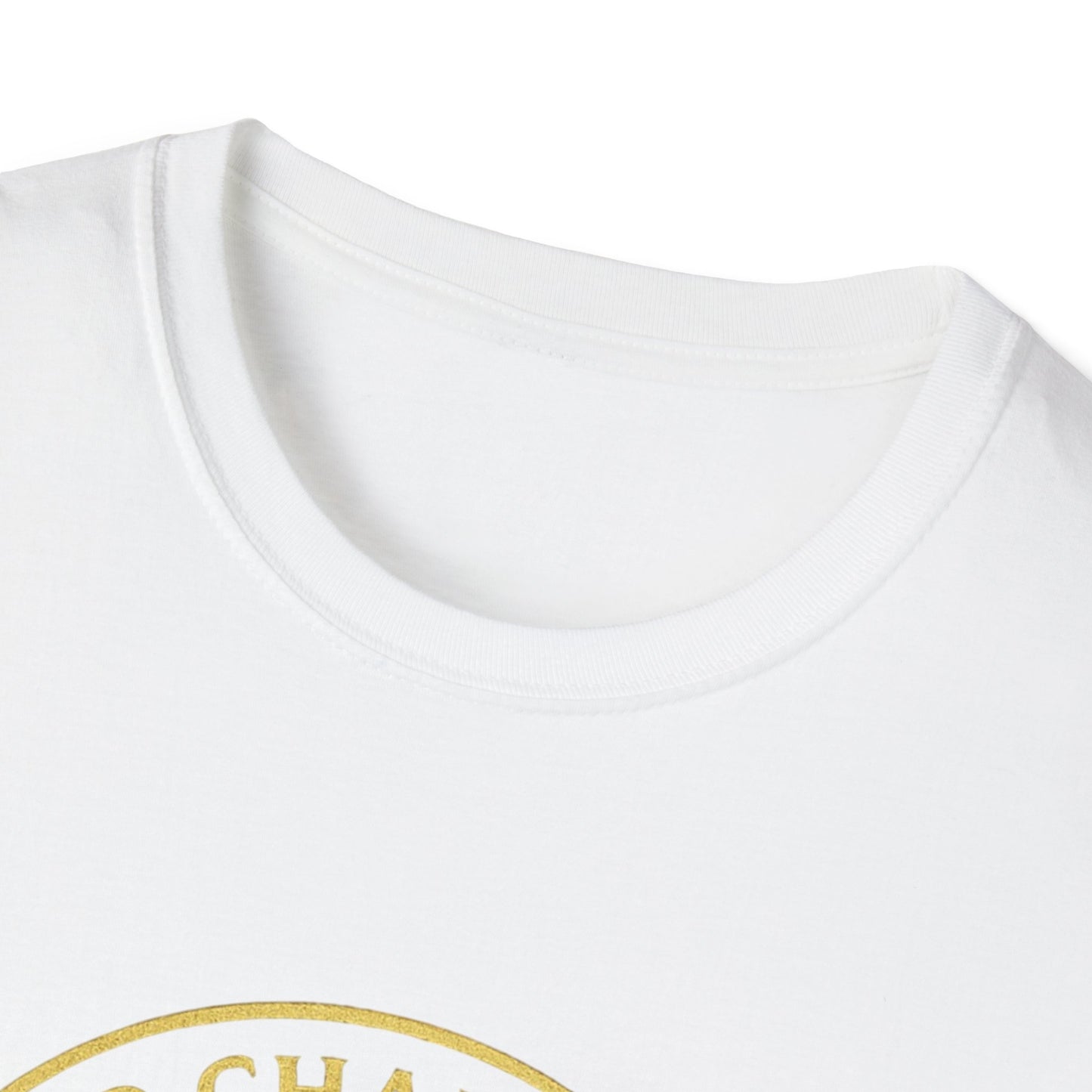 2CS - Unisex Softstyle T-Shirt