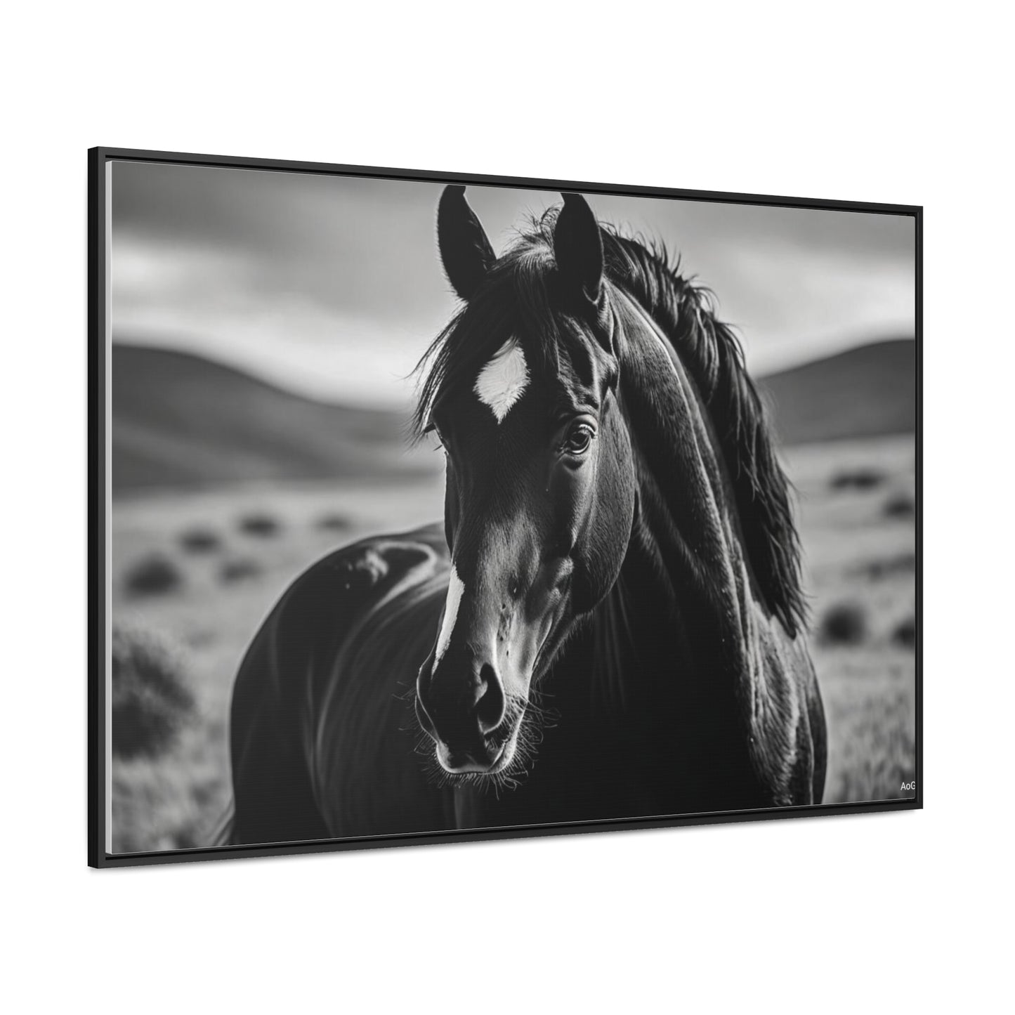 Black Stallion Gallery Canvas Wraps, Horizontal Frame