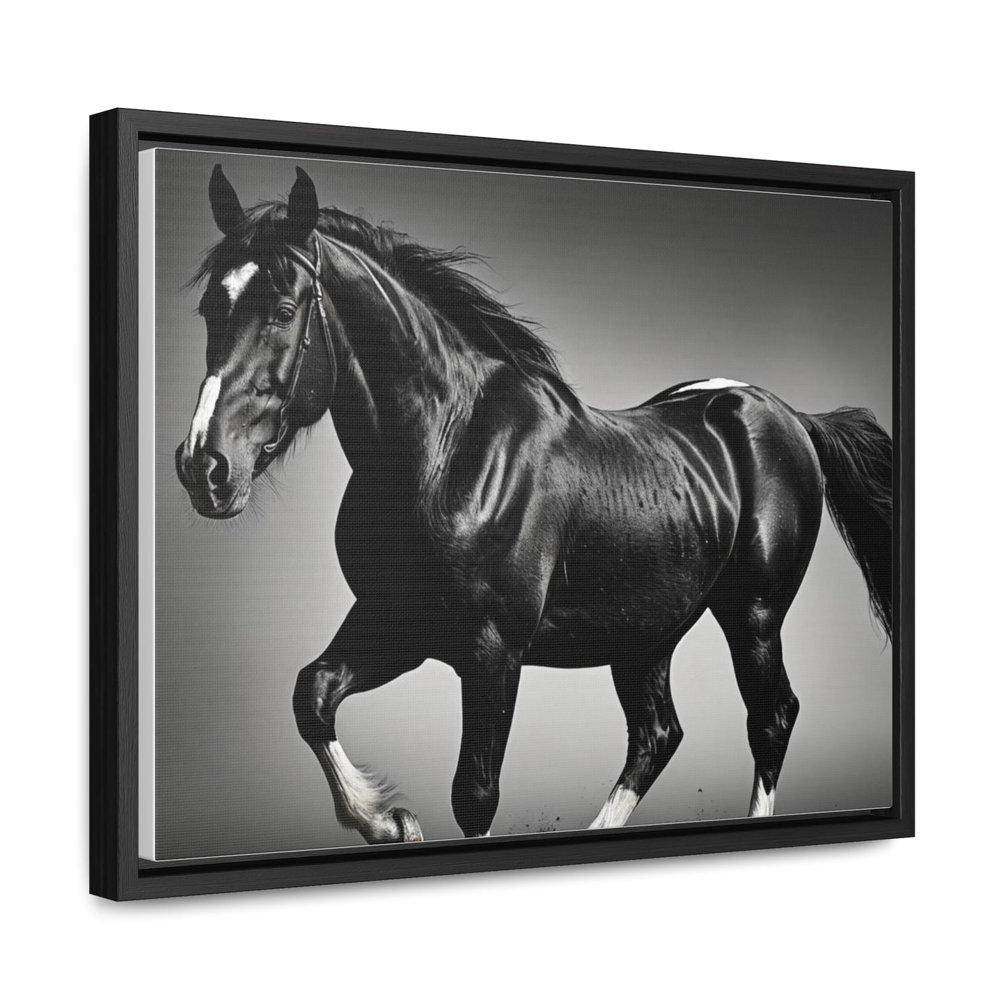 Black Stallion Gallery Canvas Wraps, Horizontal Frame