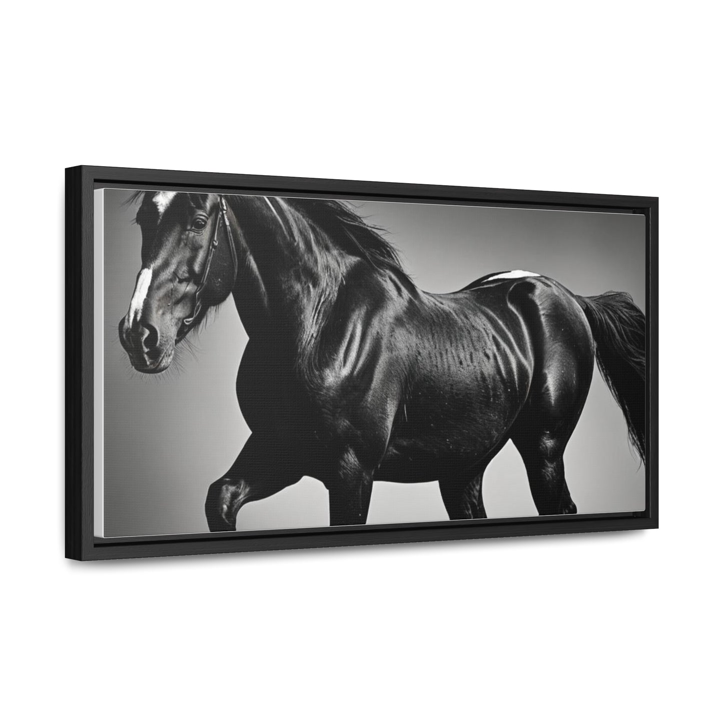 Black Stallion Gallery Canvas Wraps, Horizontal Frame