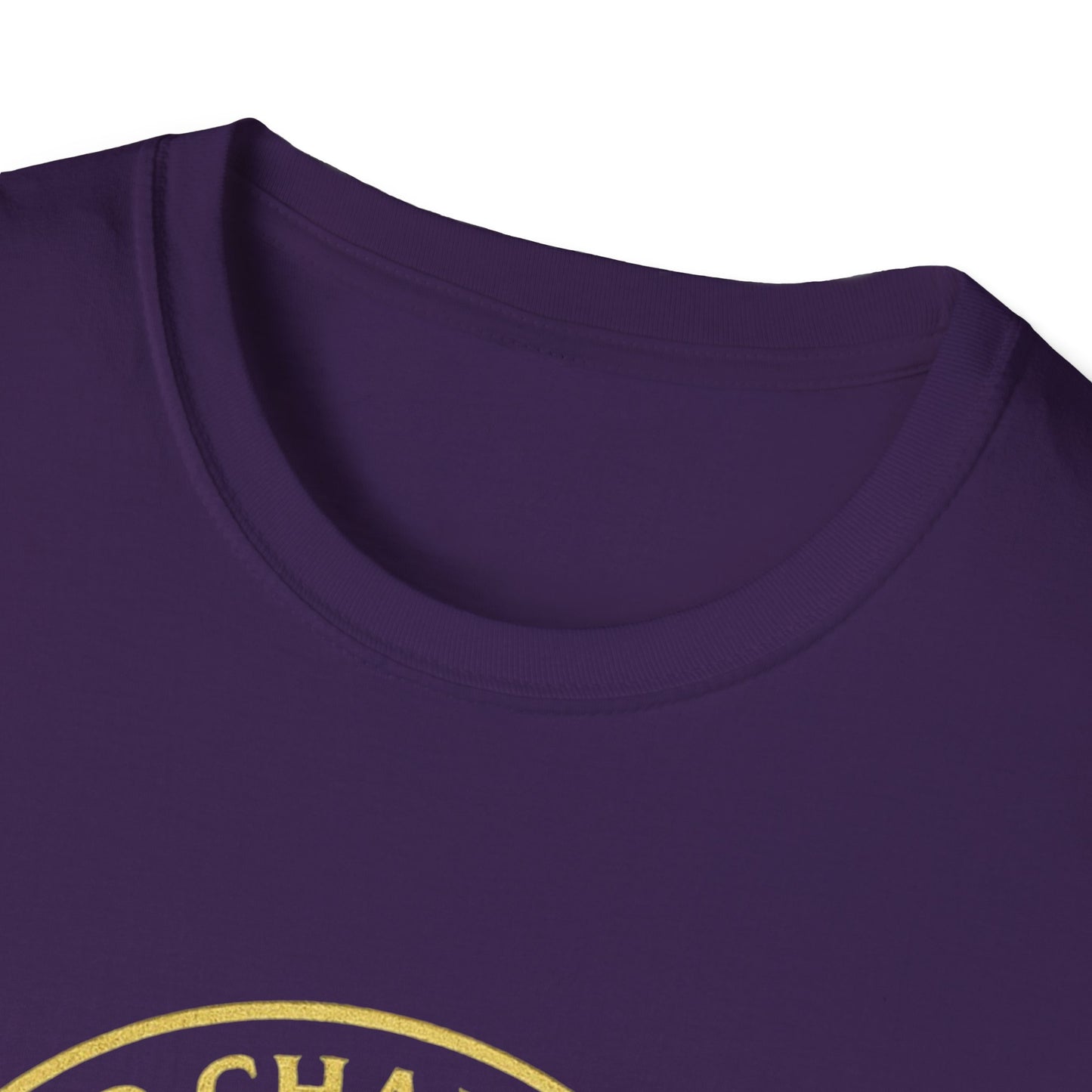 2CS - Unisex Softstyle T-Shirt