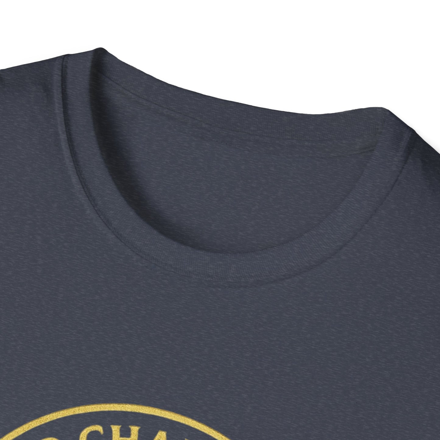 2CS - Unisex Softstyle T-Shirt