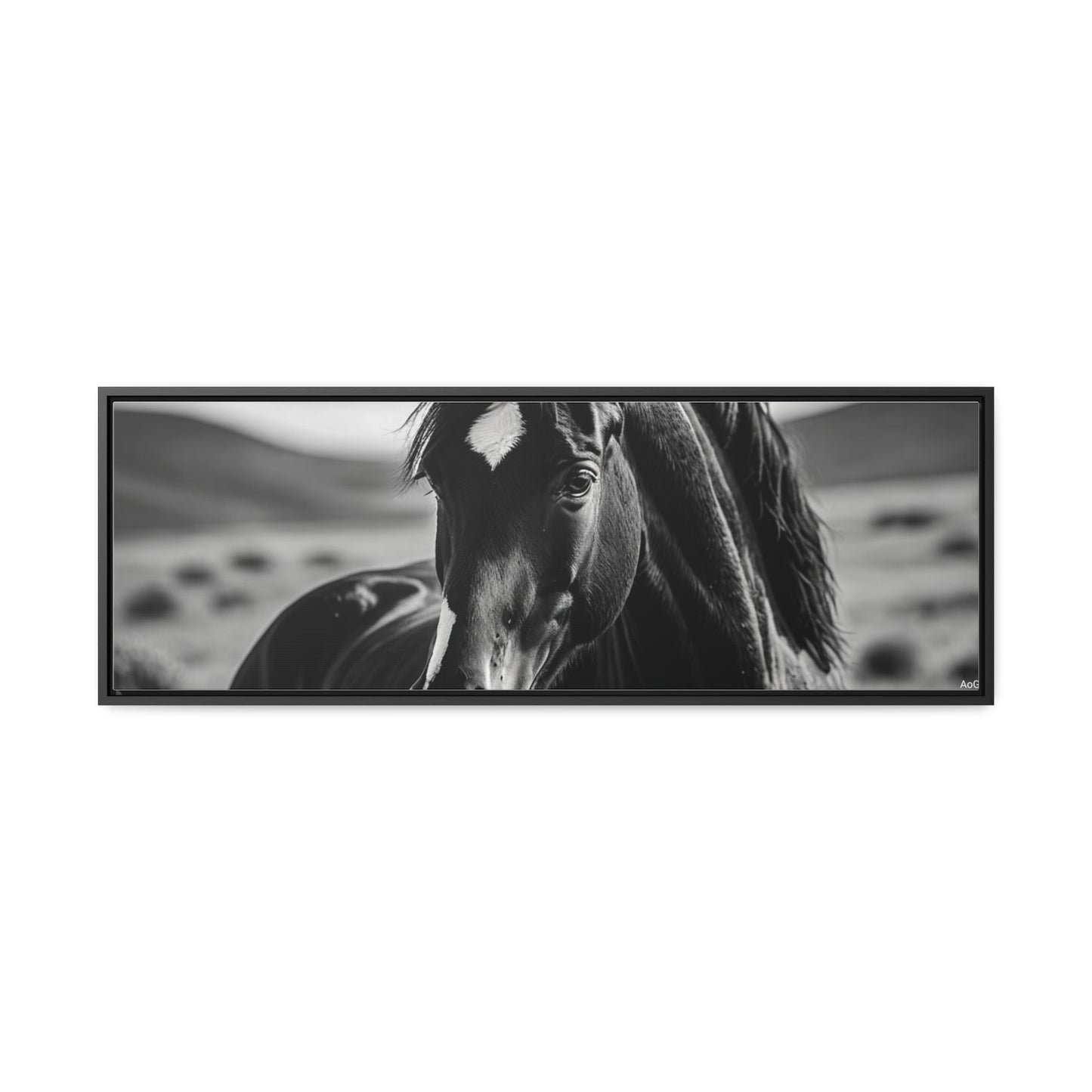 Black Stallion Gallery Canvas Wraps, Horizontal Frame