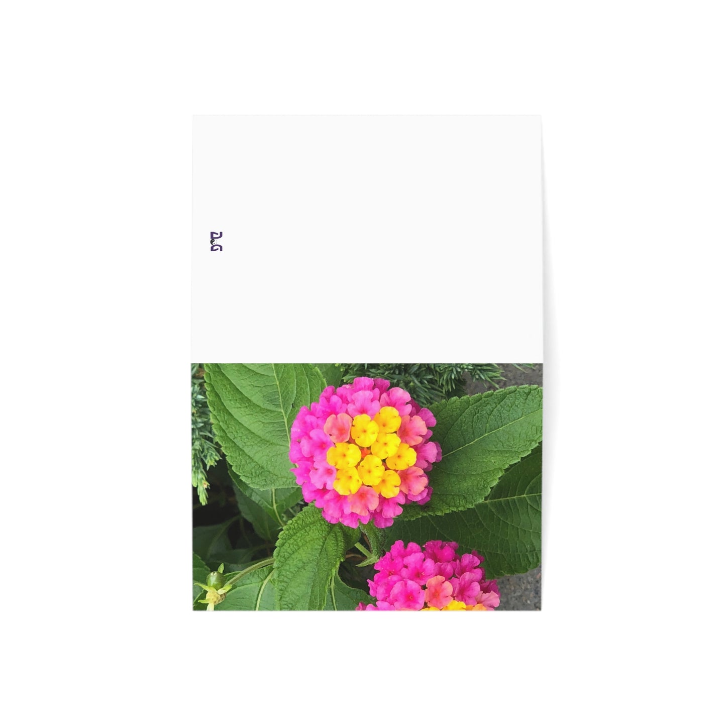 Horizontal Spring Bloom Greeting Cards (1, 10, 30, and 50pcs)