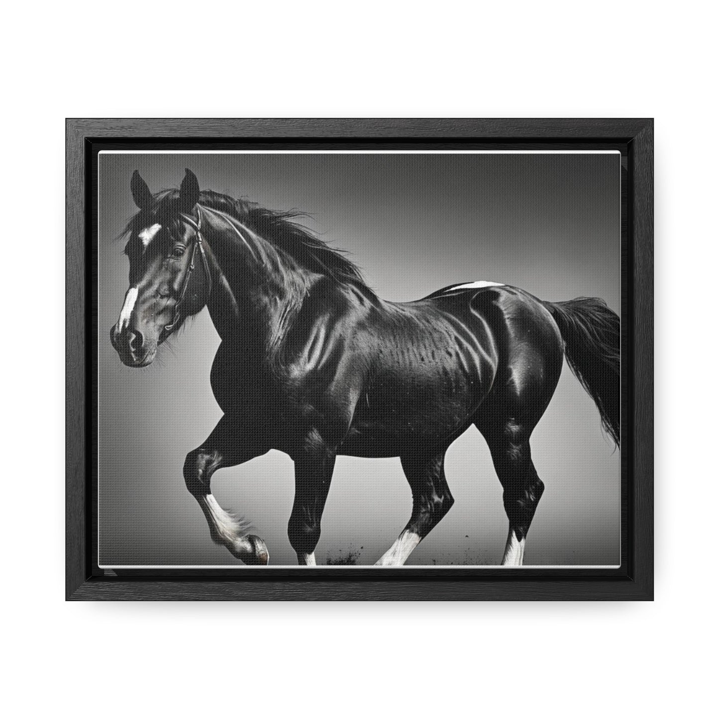 Black Stallion Gallery Canvas Wraps, Horizontal Frame