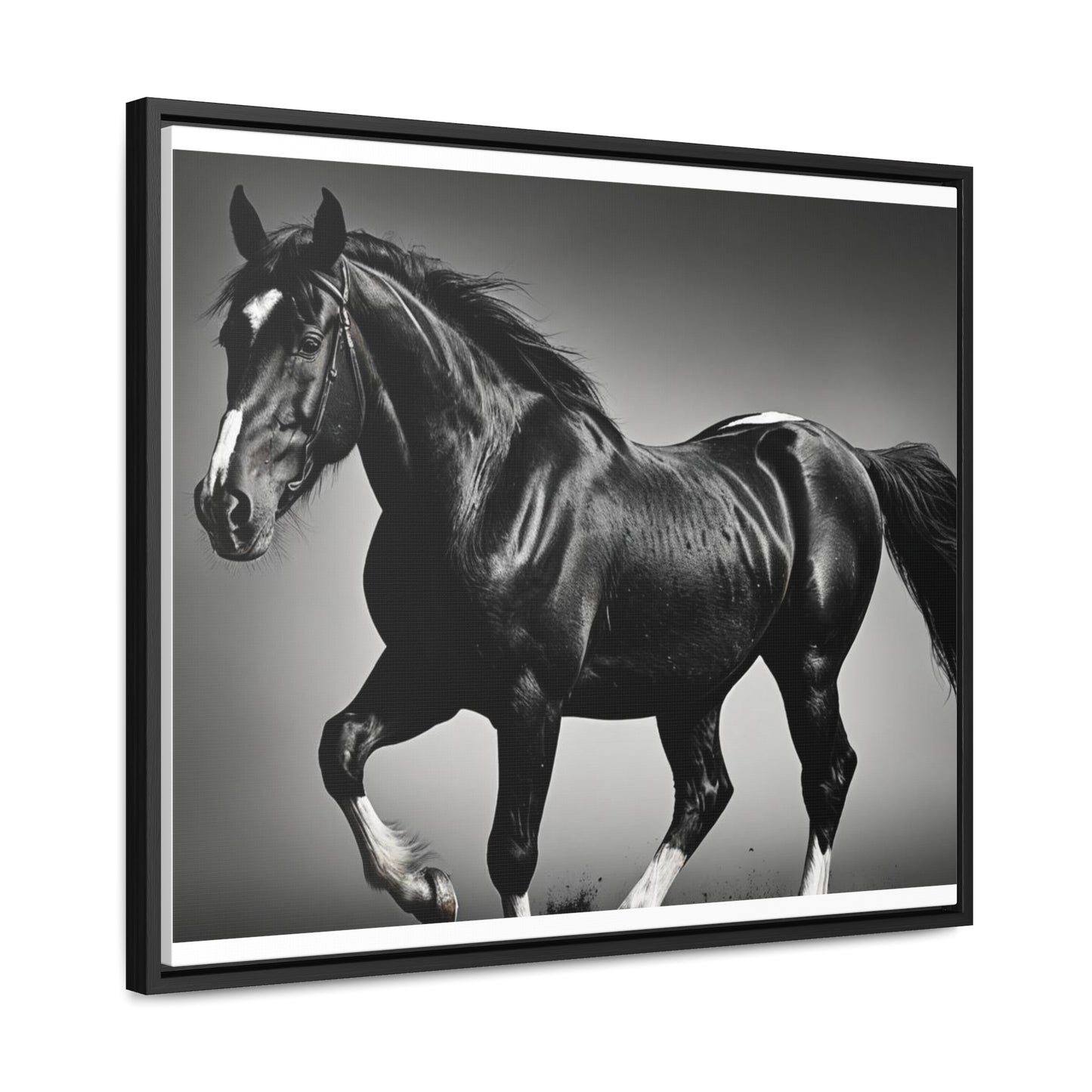 Black Stallion Gallery Canvas Wraps, Horizontal Frame