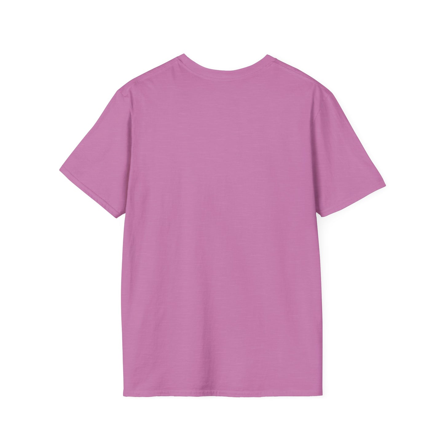 2CS - Unisex Softstyle T-Shirt