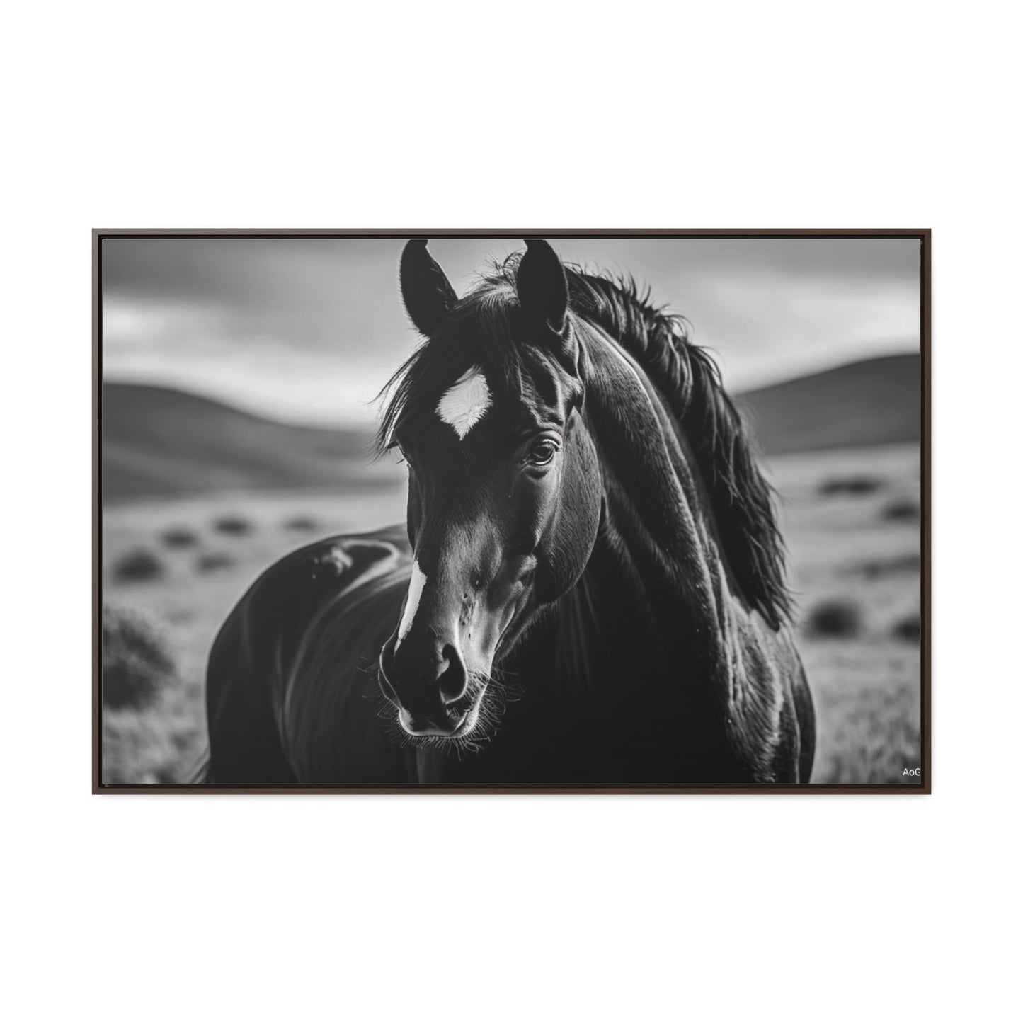 Black Stallion Gallery Canvas Wraps, Horizontal Frame