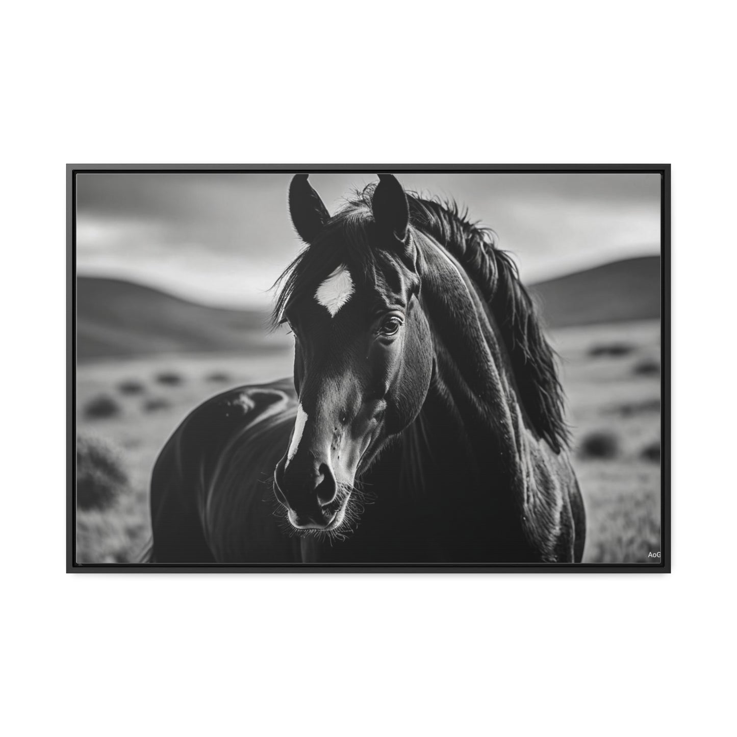 Black Stallion Gallery Canvas Wraps, Horizontal Frame