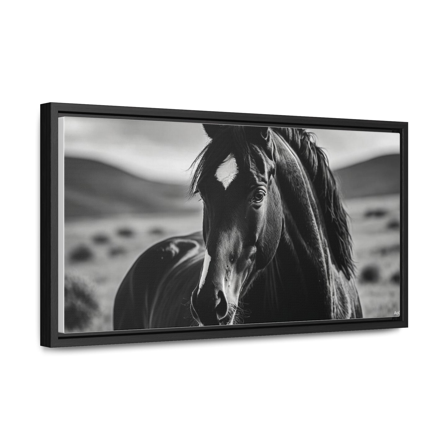 Black Stallion Gallery Canvas Wraps, Horizontal Frame