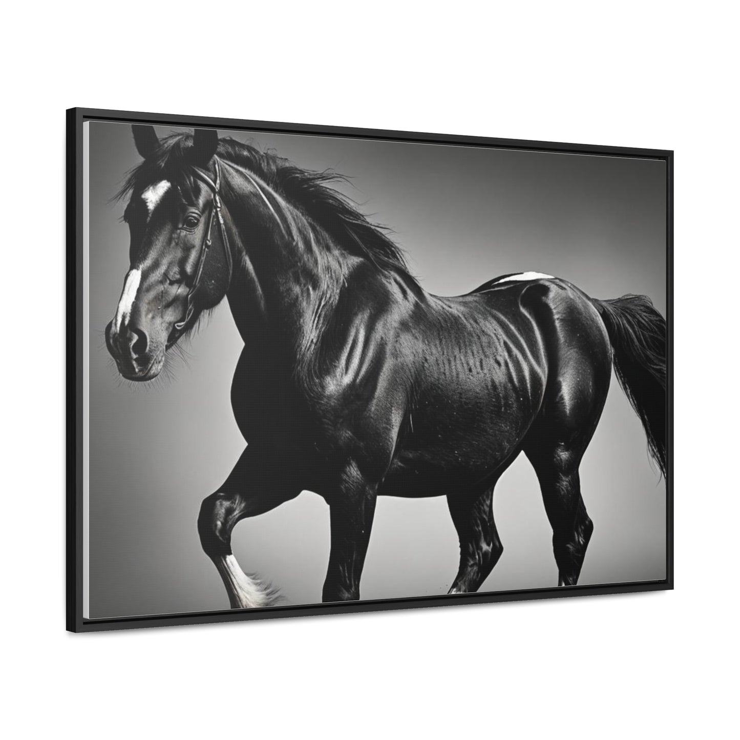 Black Stallion Gallery Canvas Wraps, Horizontal Frame